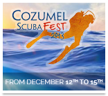 Scuba Fest