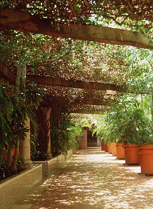 Hotel Suites Colonial in Cozumel, Mexico.